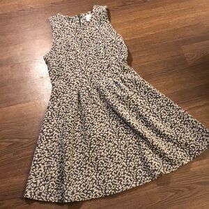 Jack BB Dakota Spotted Fit and Flare Dress M